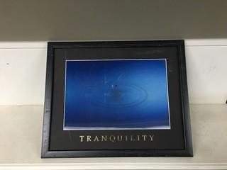 22" X 18" Tranquility Wall Picture.