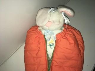 Sleeping Bunny in a Carrot Sack.