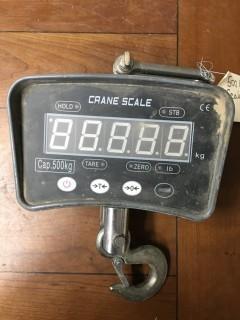 500 Kg Crane Scale.