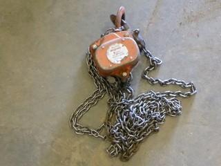 Westward 1 Ton Chain Hoist, V5, No. VCH1, S/N 3279, (E-2)