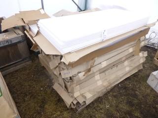 Qty Of (16) Boxes Of Philips Day-Brite And (4) Boxes Of Light Covers