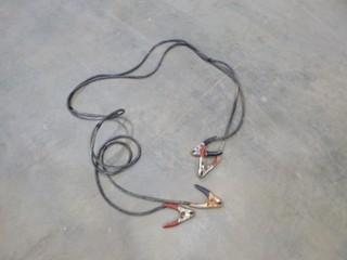 (1) Jumper Cable Set (EE2-2-1)