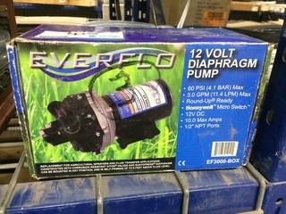 Everflow, 12 Volt Diaphragm Pump.