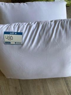 (2) White Bed Pillows.