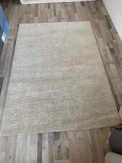 Beige Rug 63" x 91".