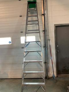 Werner 10' Ladder.