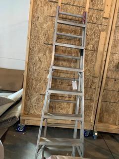 Lite Extension Ladder.