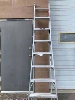 Lite Extension Ladder.