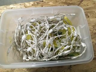 Quantity of Christmas Lights.