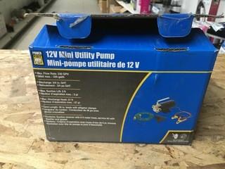 12 Volt Mini Utility Pump.