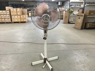 Tall White Fan.