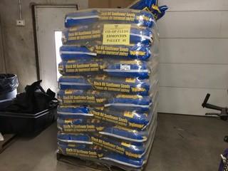 Pallet Of Black Oil Sunflower Seeds.