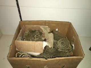 Box of Coil Screws.