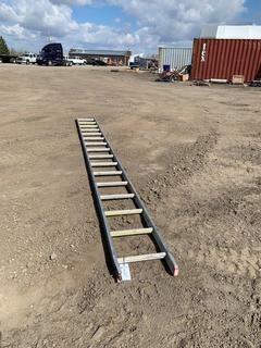 16' Aluminum Ladder.