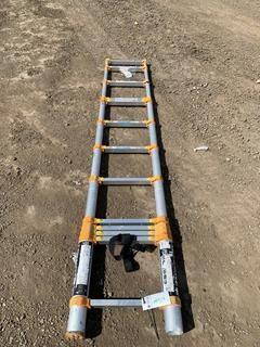 12 1/2' Aluminum Ladder.