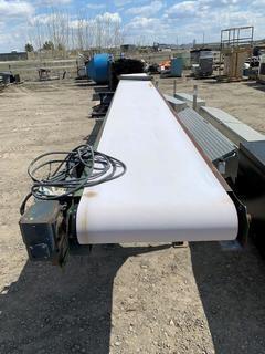 DC Motor Driven Conveyor Belt 20' Long.