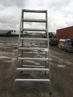 Sturdy 7 Step Aluminum Ladder.