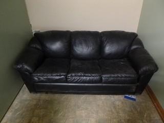 Hide-A-Bed Couch