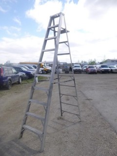 10ft Aluminum Step Ladder
