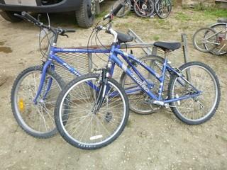 (1) Ascent 12-Speed And (1) Carrera 21-Speed Bike