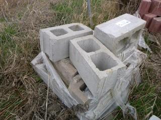 Qty Of Cinder Blocks *Note: Item Cannot Be Removed Until June 2 Unless Mutually Agreed Upon*