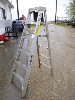 Louisville 6ft Step Ladder