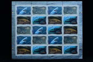 Canada 45 Cent Shark Stamps Sheet.