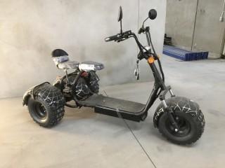 New 1200W Electric Trike ATV Offroad Package Trike6