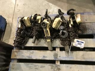 Lot of (5) 3/4- TON Chain Hoists