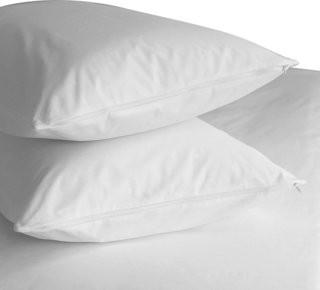 Alwyn Home Premium 400 Thread Count Zippered Pillow Protector - King (ANEW2255_22108519)