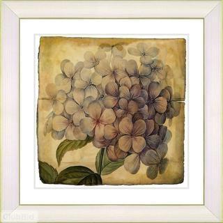 Studio Works Modern Vintage Botanical No. 18A by Zhee Singer Framed Painting Print (SWMN1538_12409404_12409405)