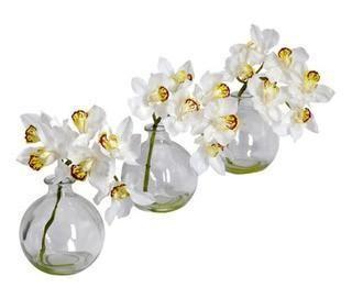 Lot 2 - 8" Cymbidium w/Vase (Set of 3)