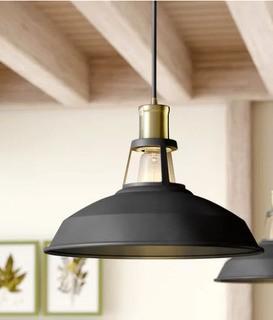 Gracie Oaks Trinton 1-Light Inverted Pendant (GRKS7660) - Blk 