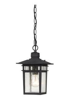 Nuvo Lighting - 60-4956 - Cove Neck 60-4956 1-Light Textured Black Outdoor Hanging Lantern