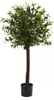 Darby Home Co Olive Round Topiary in Pot (DBYH8137)