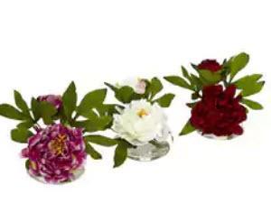 6" Peony w/Glass Vase ( Set of 3) 