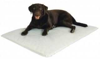 K&H Manufacturing Cool Bed Pet Mat (KHM1114_4769044) - LG