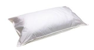 Sealy Posturepedic - Foam Core Pillow - Firm 