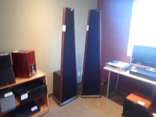 Lot of 2 Ambience 1800 Tower Speakers.