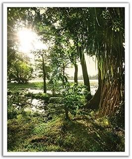 J.P. London Peel and Stick Removable Wall Decal Sticker Mural, Magical Mystic Leprechaun Forest, 19.75 by 24-Inch