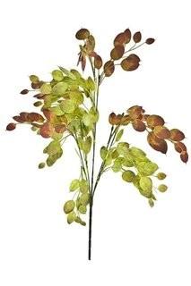 Renaissance 2000 Dollar Bush, 23-Inch, Silver