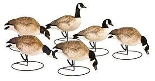 Final Approach Last Pass HD Lesser Canada Decoy Outfitters Pack, Set of 6