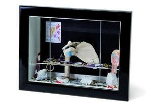3B Scientific W23010 Mini Wall Display " Shoulder ", 11-Inchx8.7-Inchx2.8-Inch