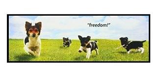 Piddle Place Protective Guard - Freedom