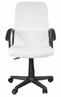 Ebern Designs Bianco Mesh Office Chair (EBDG2824_24281381) - White 