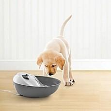 PAWSLIFE 60 OZ. PET DRINKING FOUNTAIN                                                               