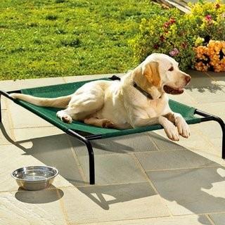 Tucker Murphy Pet Briard Large Weather-Resistant Raised Mesh Pet Bed (TKMP1338)