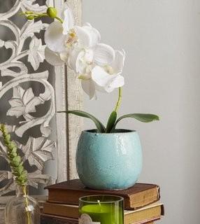 Highland Dunes Phalaenopsis Orchid in a Distressed Pot with Faux Dirt (HLDS7511)