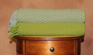Beachcrest Home Flynn Mosaic Throw Blanket (BCHH4553_21400953) - Jade