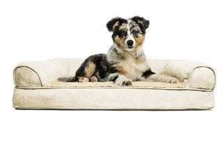 Tucker Murphy Pet Blair Furhaven Plush Orthopedic Sofa-Style Dog Bed (TKMP1297_27270977_27270981) - Deep Pool - Large